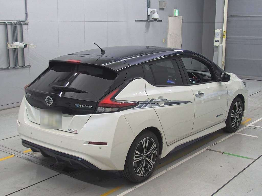 2018 Nissan Leaf ZE1[1]