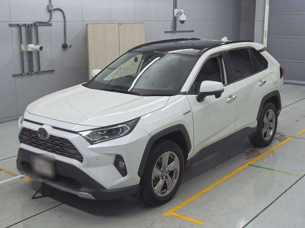 2019 Toyota RAV4 AXAH54[0]