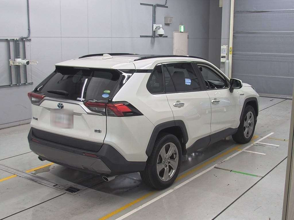 2019 Toyota RAV4 AXAH54[1]