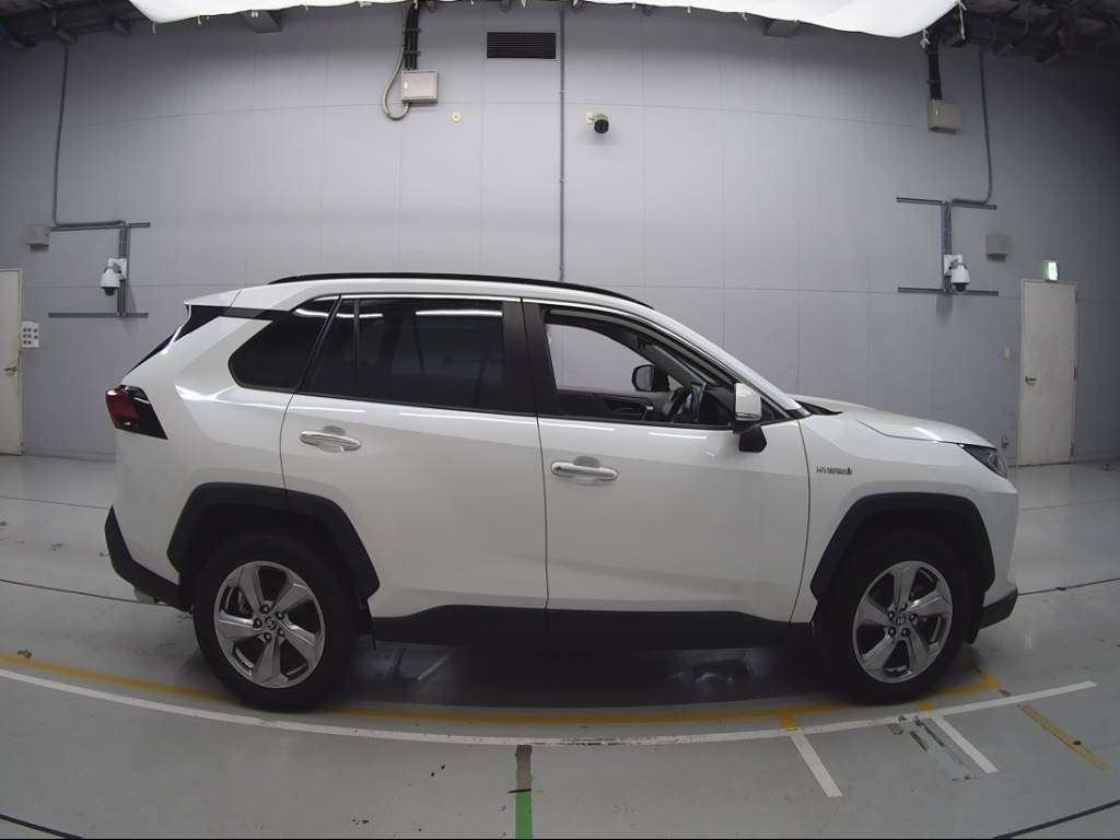 2019 Toyota RAV4 AXAH54[2]