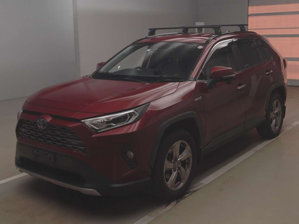 2019 Toyota RAV4 AXAH54[0]