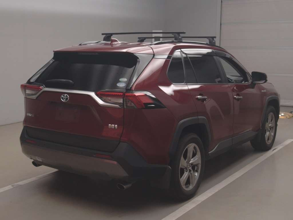 2019 Toyota RAV4 AXAH54[1]