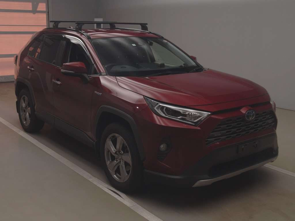 2019 Toyota RAV4 AXAH54[2]