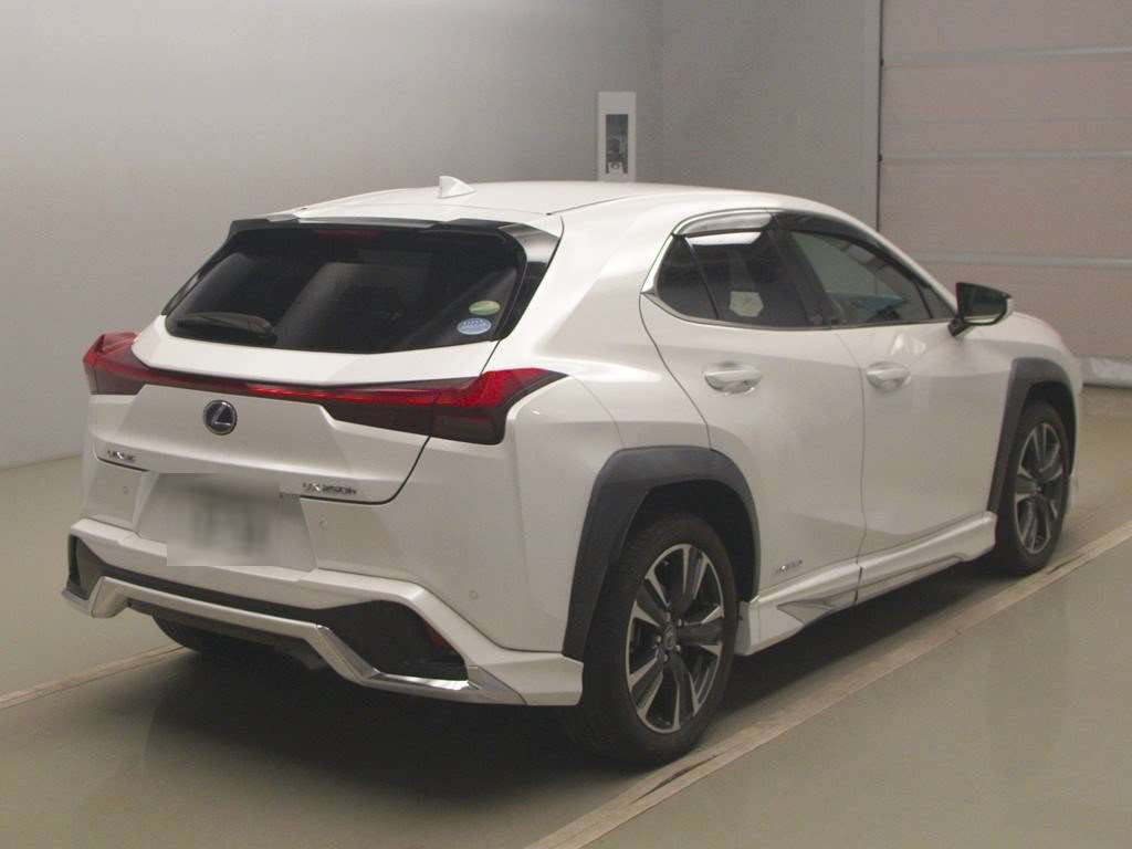 2019 Lexus UX MZAH10[1]