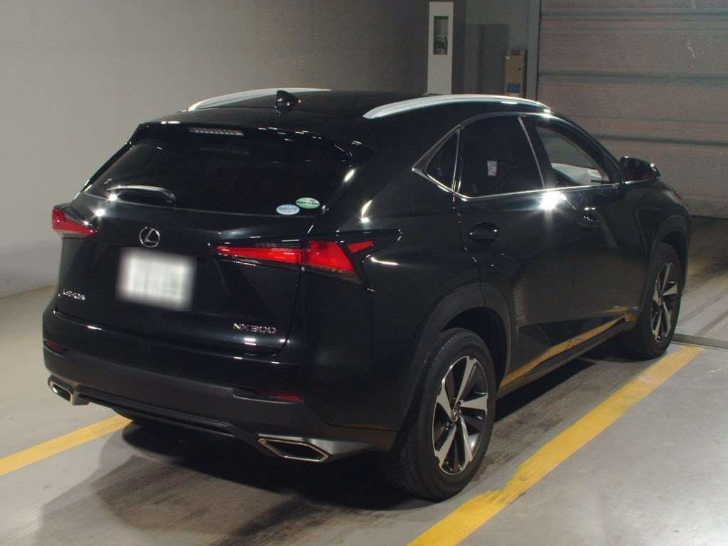 2018 Lexus NX AGZ10[1]