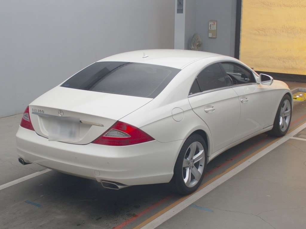 2010 Mercedes Benz Cls-Class 219356C[1]