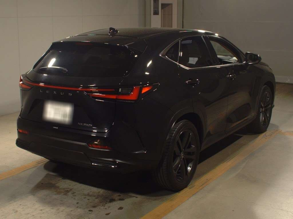 2023 Lexus NX AAZH20[1]