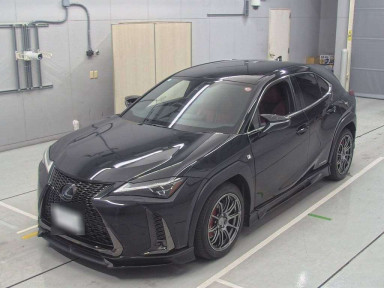 2019 Lexus UX