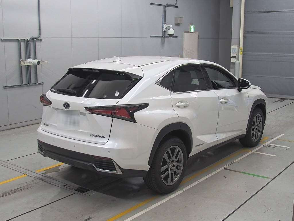 2018 Lexus NX AYZ10[1]