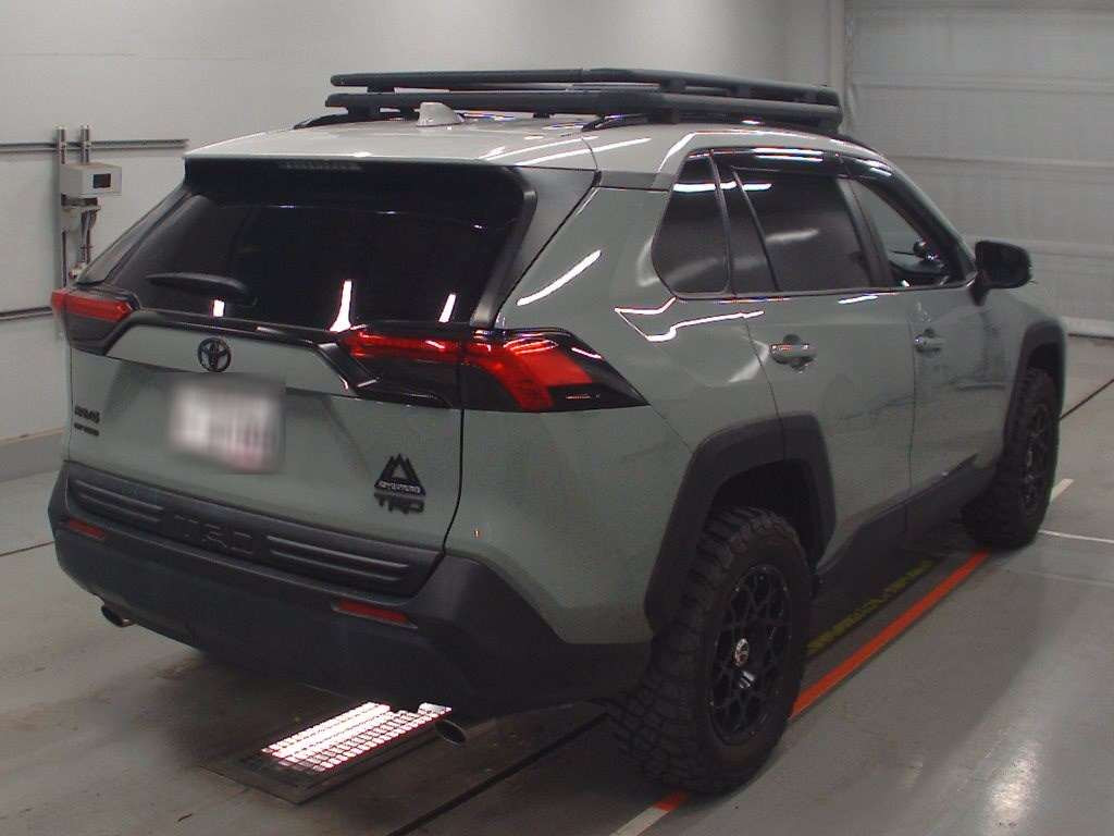 2019 Toyota RAV4 MXAA54[1]