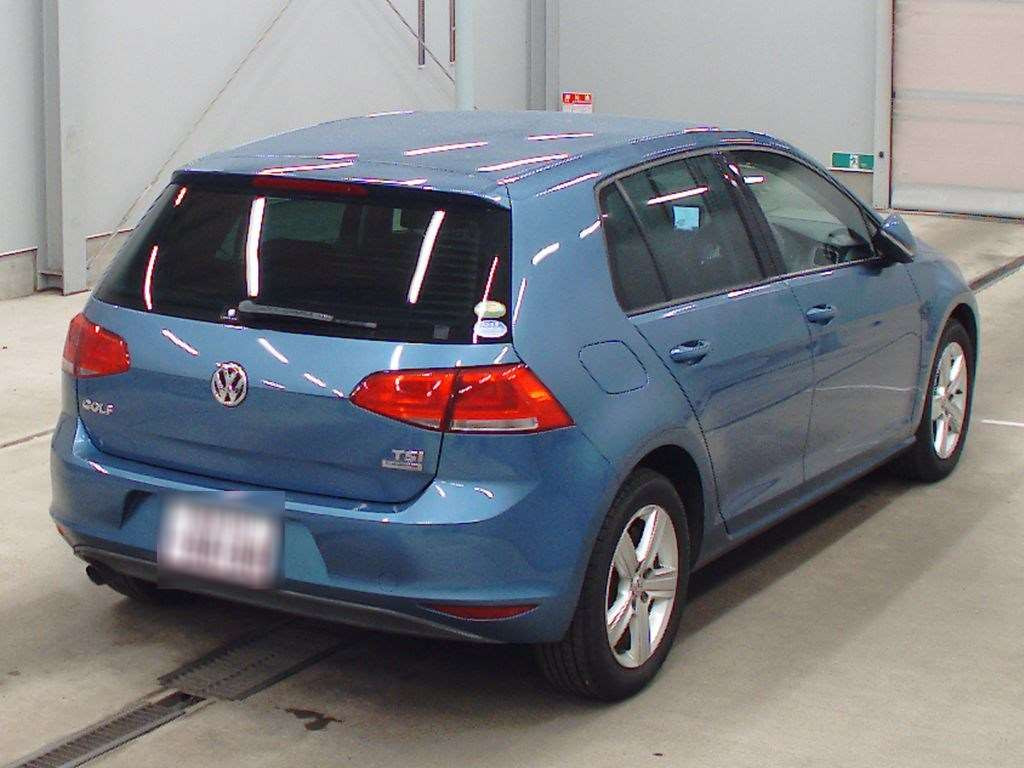 2013 Volkswagen Golf AUCJZ[1]