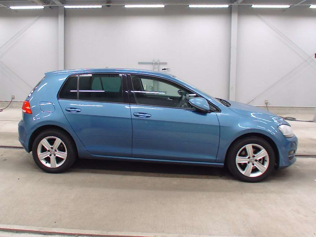 2013 Volkswagen Golf AUCJZ[2]