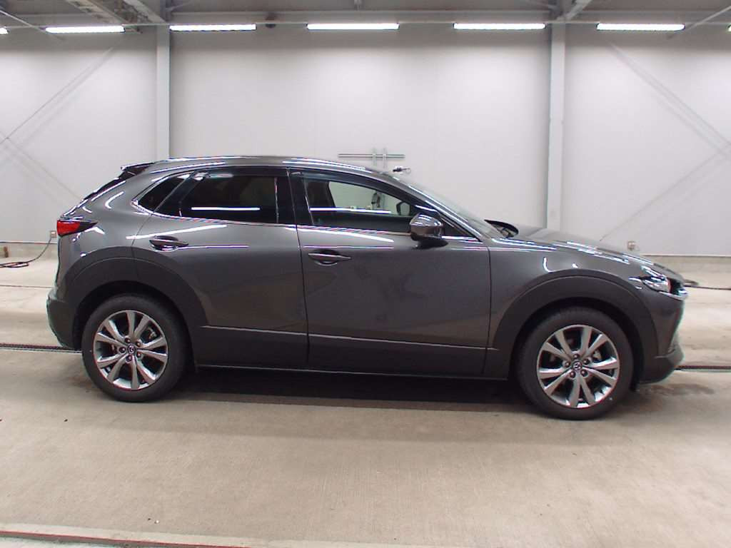 2021 Mazda CX-30 DMEP[2]