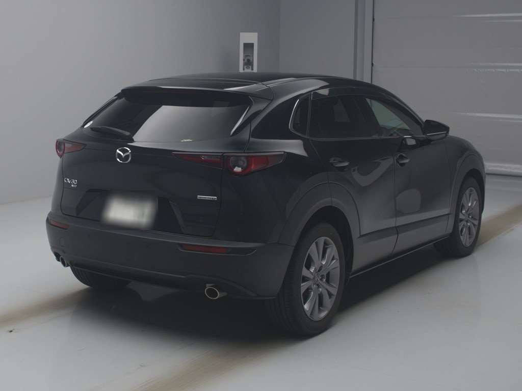 2022 Mazda CX-30 DM8P[1]