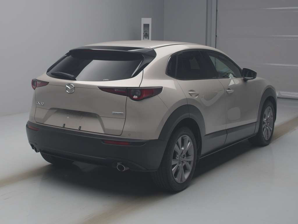 2021 Mazda CX-30 DM8P[1]