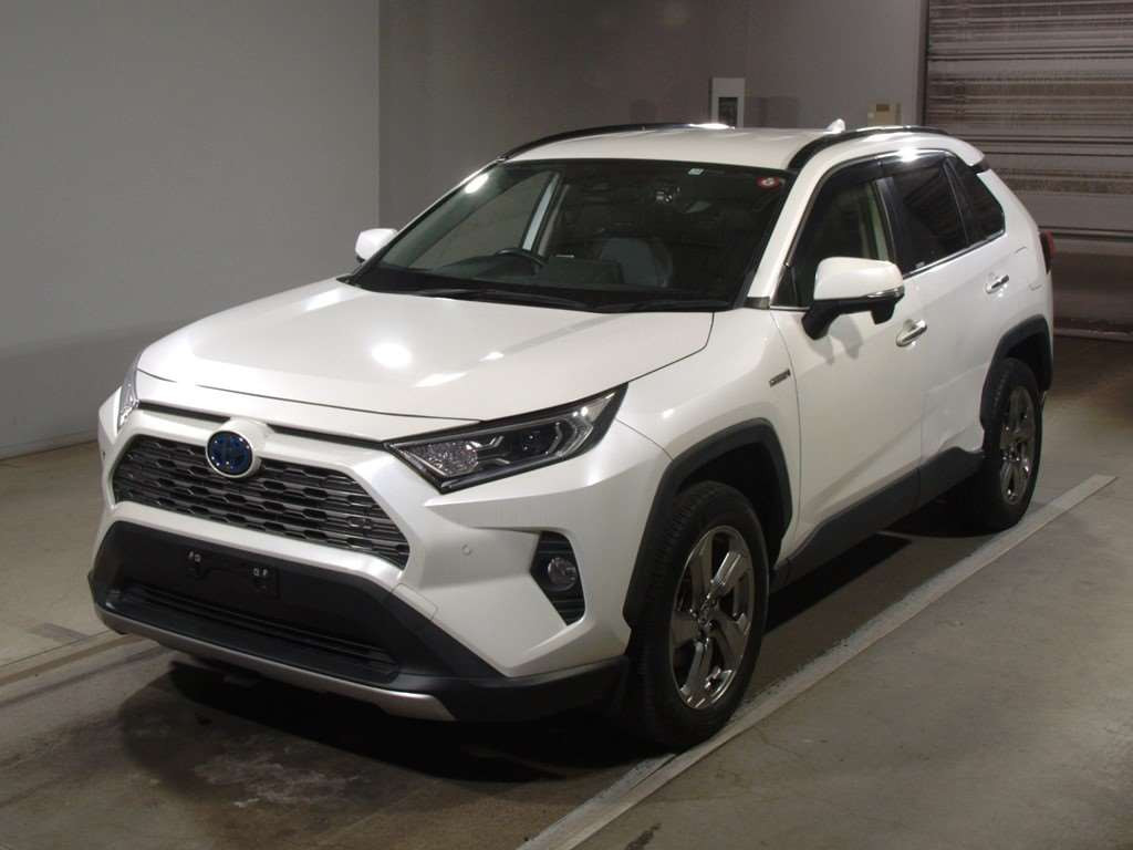 2019 Toyota RAV4 AXAH54[0]