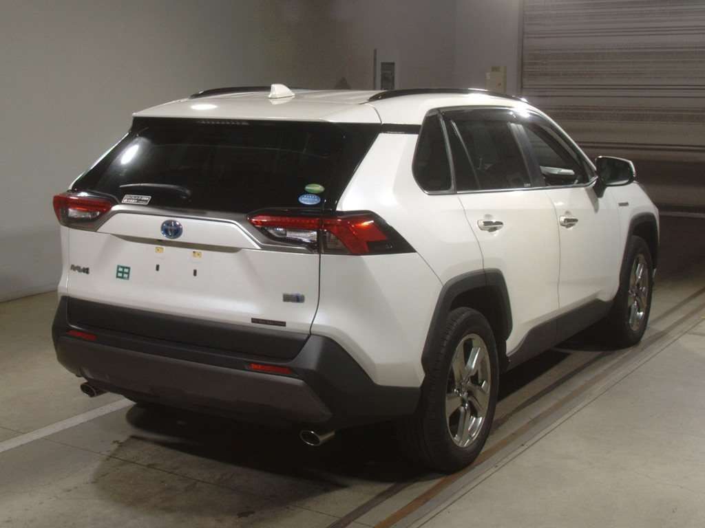 2019 Toyota RAV4 AXAH54[1]