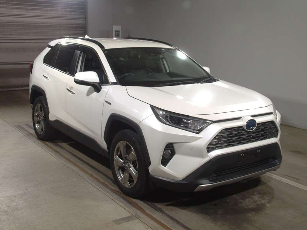 2019 Toyota RAV4 AXAH54[2]