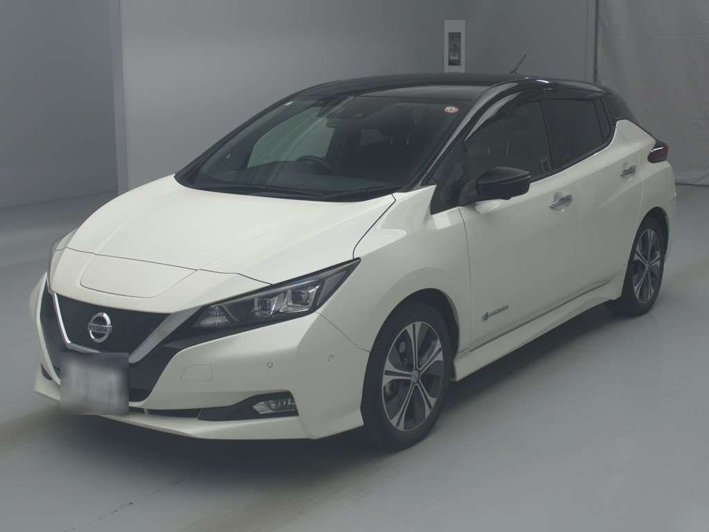 2018 Nissan Leaf ZE1[0]