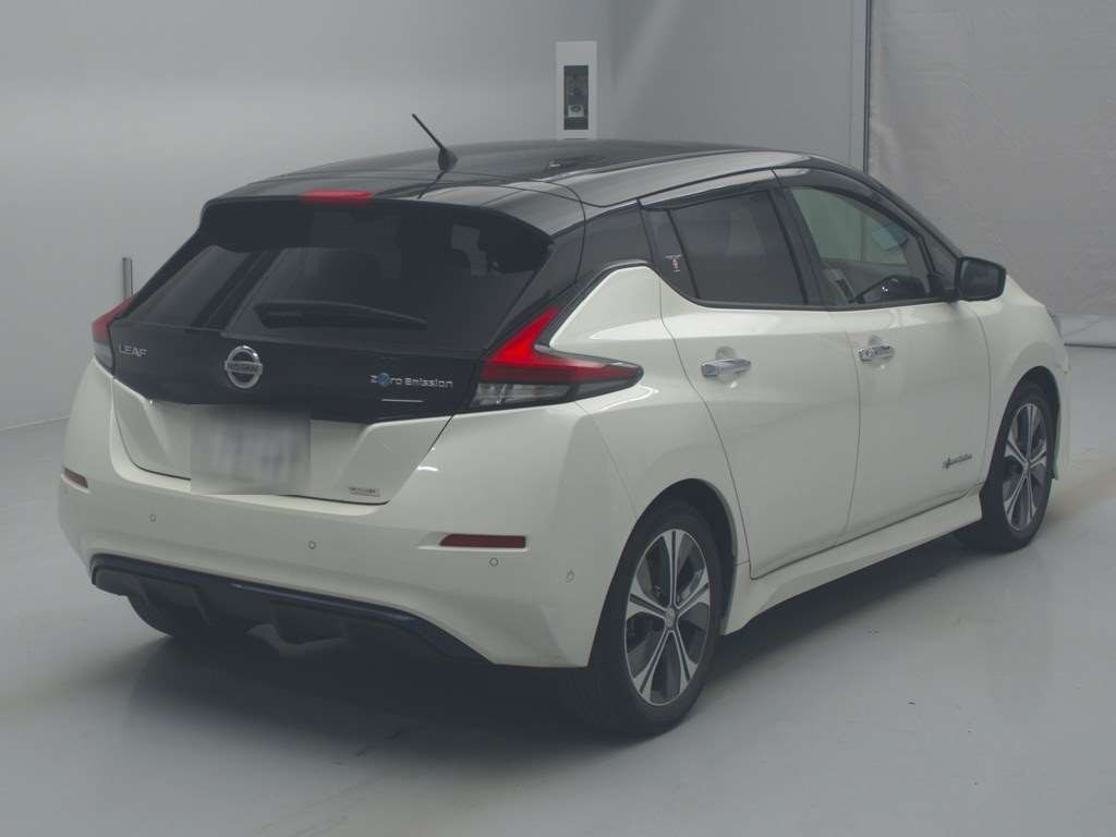 2018 Nissan Leaf ZE1[1]