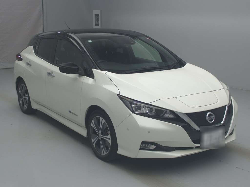 2018 Nissan Leaf ZE1[2]