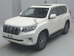 2019 Toyota Land Cruiser Prado