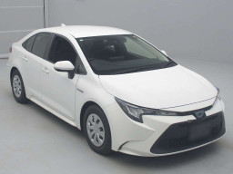 2019 Toyota Corolla Sedan