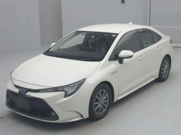 2019 Toyota Corolla Sedan