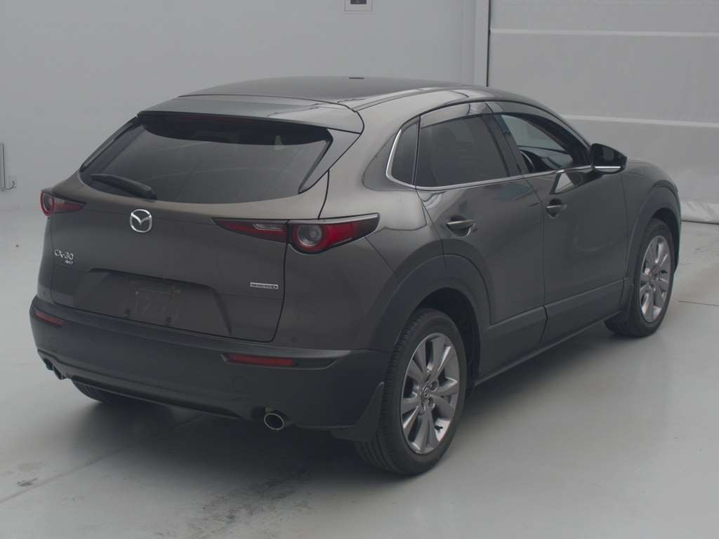 2020 Mazda CX-30 DM8P[1]