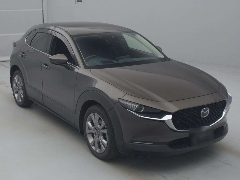 2020 Mazda CX-30 DM8P[2]