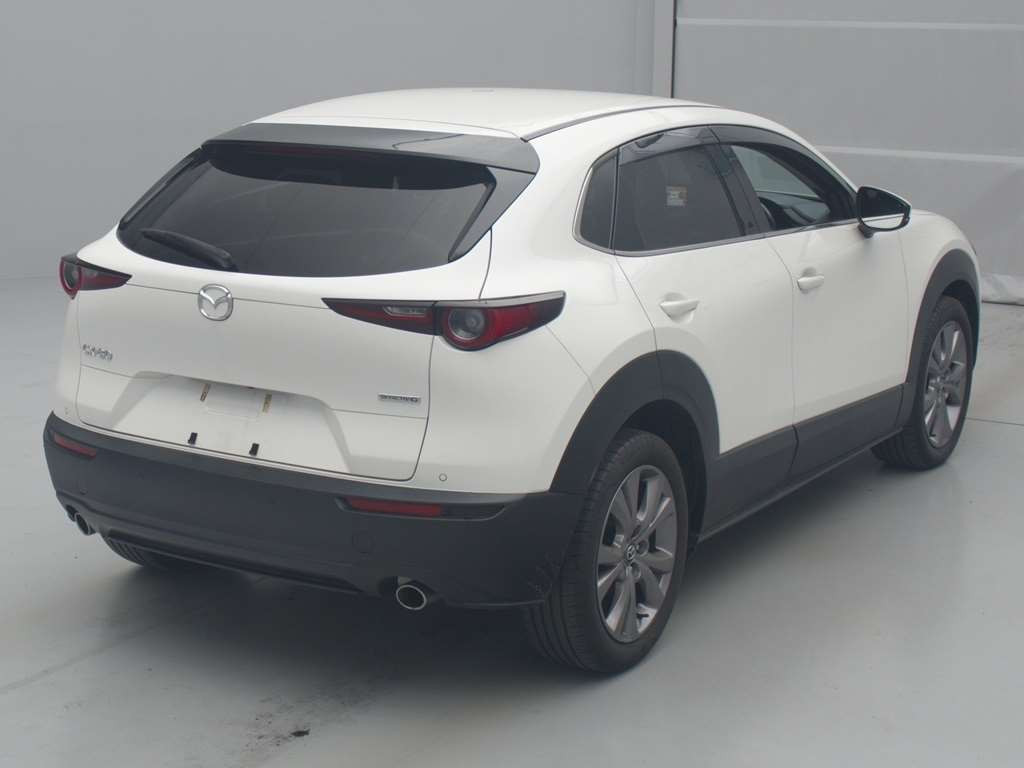 2020 Mazda CX-30 DMEP[1]