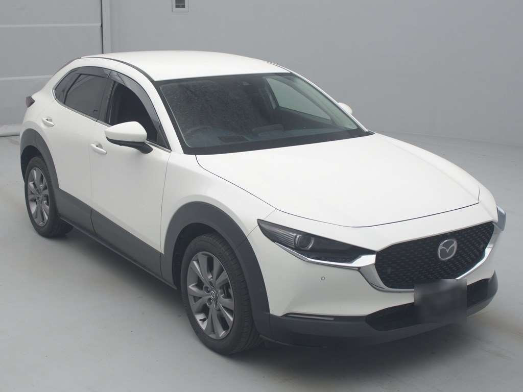 2020 Mazda CX-30 DMEP[2]