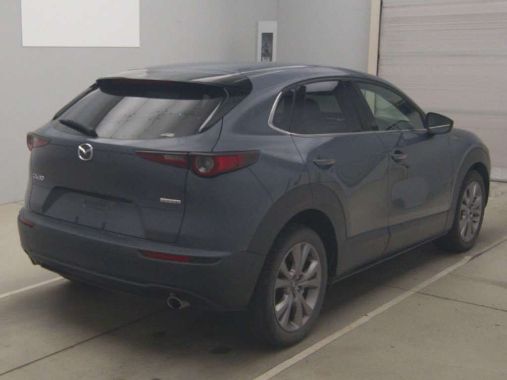 2019 Mazda CX-30 DM8P[1]