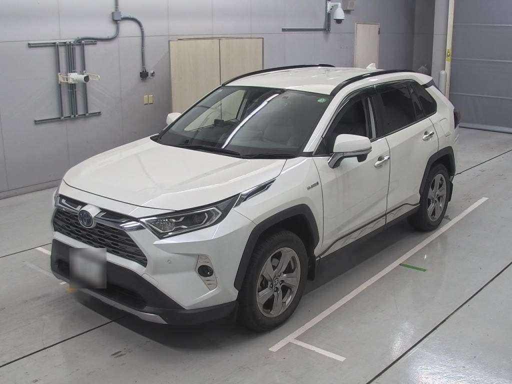 2019 Toyota RAV4 AXAH54[0]