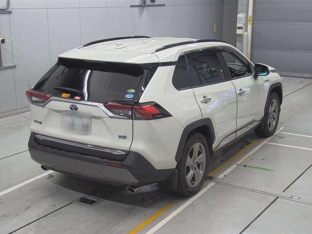 2019 Toyota RAV4 AXAH54[1]