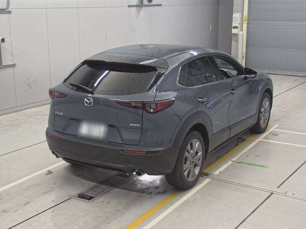 2021 Mazda CX-30 DMEP[1]