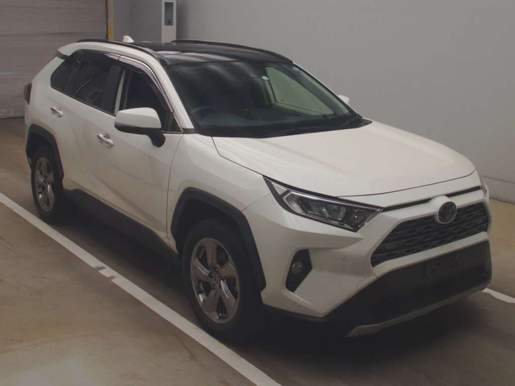 2019 Toyota RAV4 MXAA54[2]