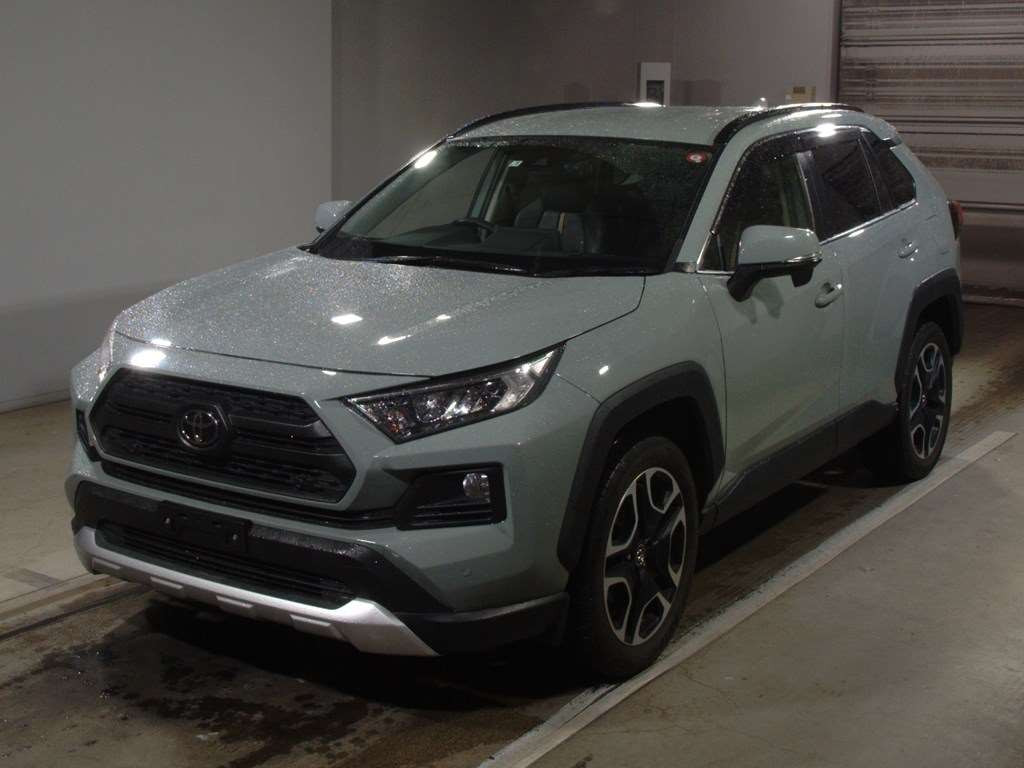 2019 Toyota RAV4 MXAA54[0]