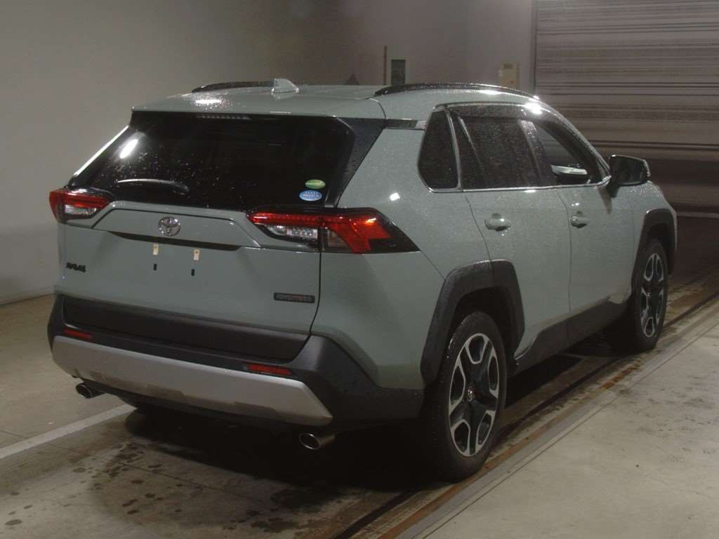 2019 Toyota RAV4 MXAA54[1]