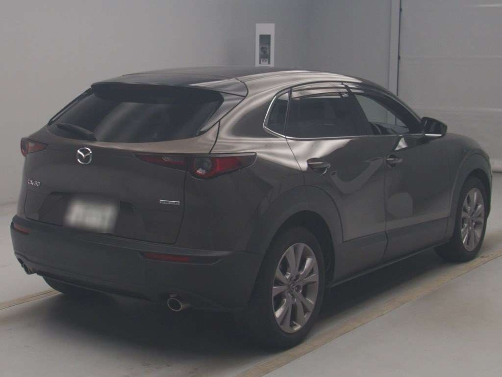 2020 Mazda CX-30 DMEP[1]