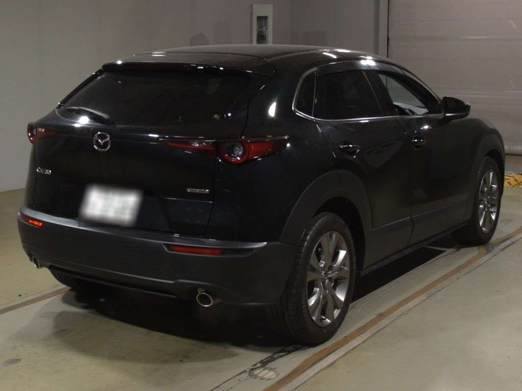 2021 Mazda CX-30 DMEP[1]