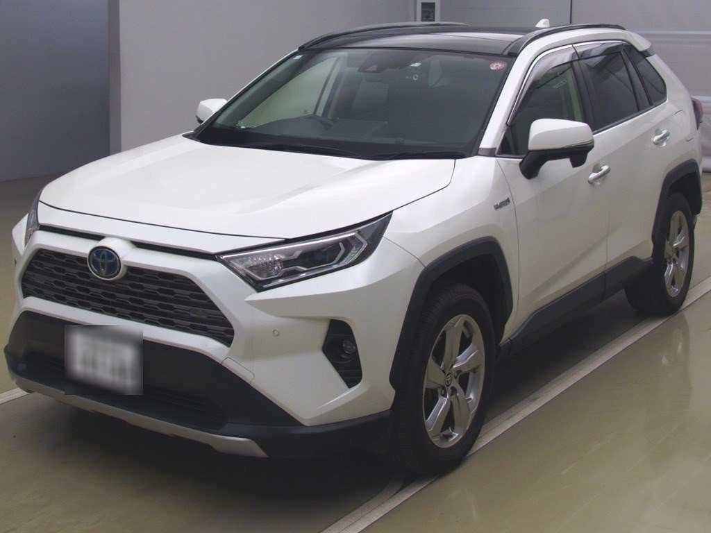 2020 Toyota RAV4 AXAH54[0]