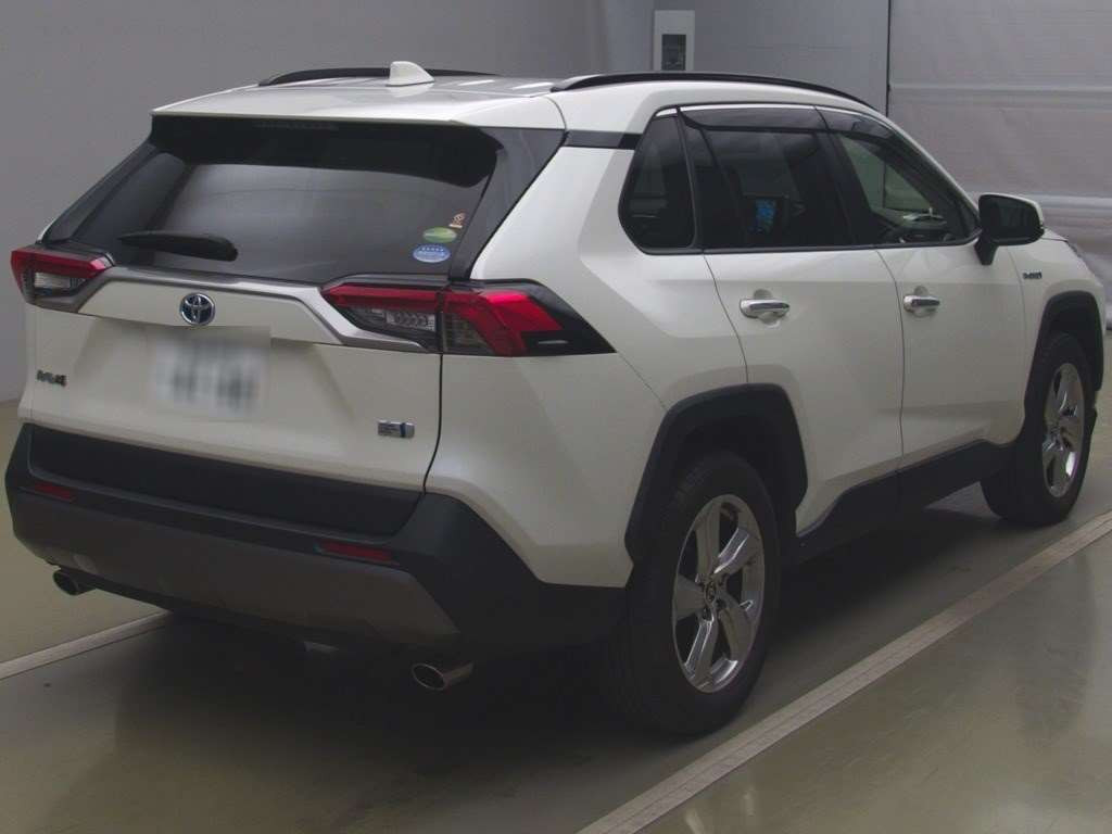 2020 Toyota RAV4 AXAH54[1]