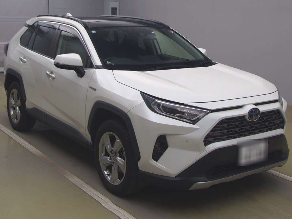 2020 Toyota RAV4 AXAH54[2]