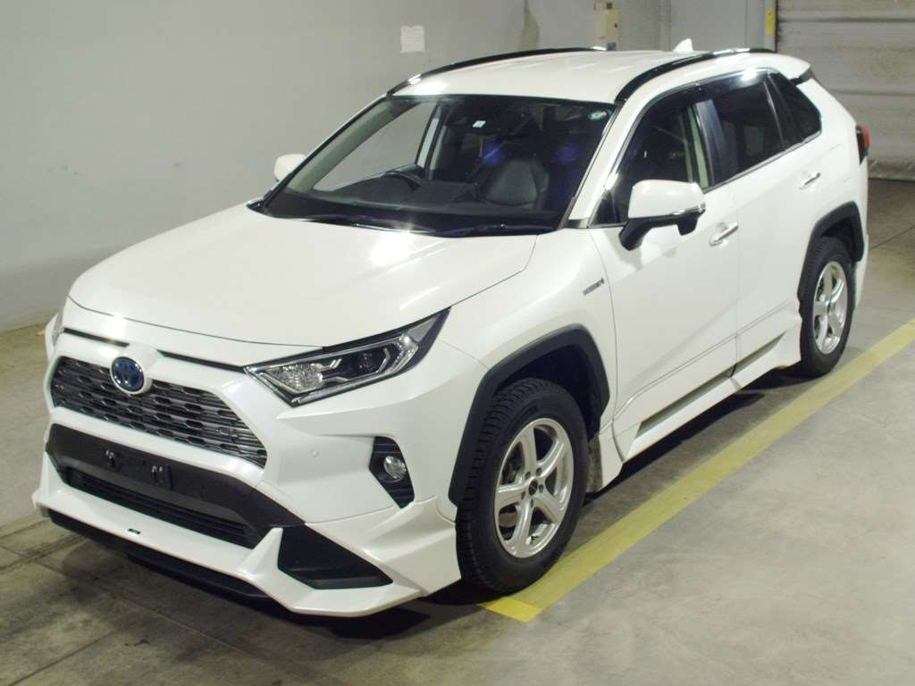 2020 Toyota RAV4 AXAH54[0]