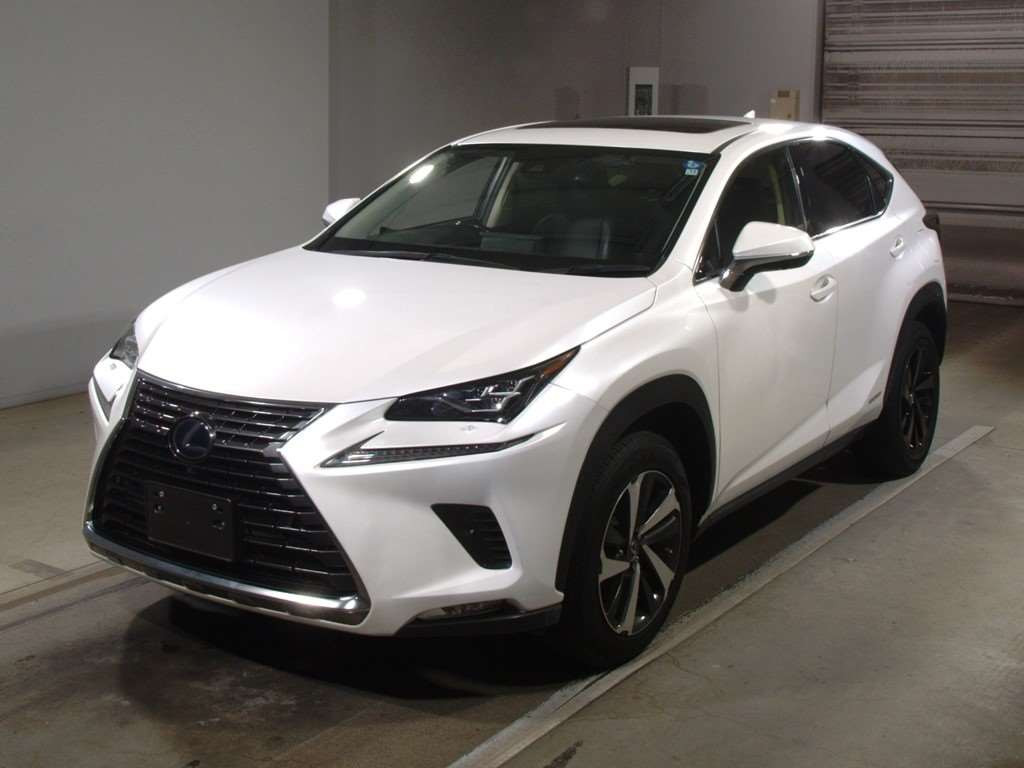 2019 Lexus NX AYZ10[0]