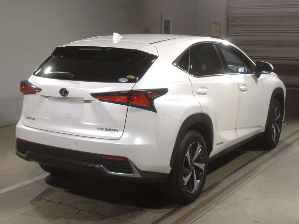 2019 Lexus NX AYZ10[1]