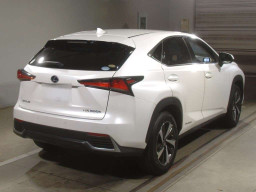 2019 Lexus NX