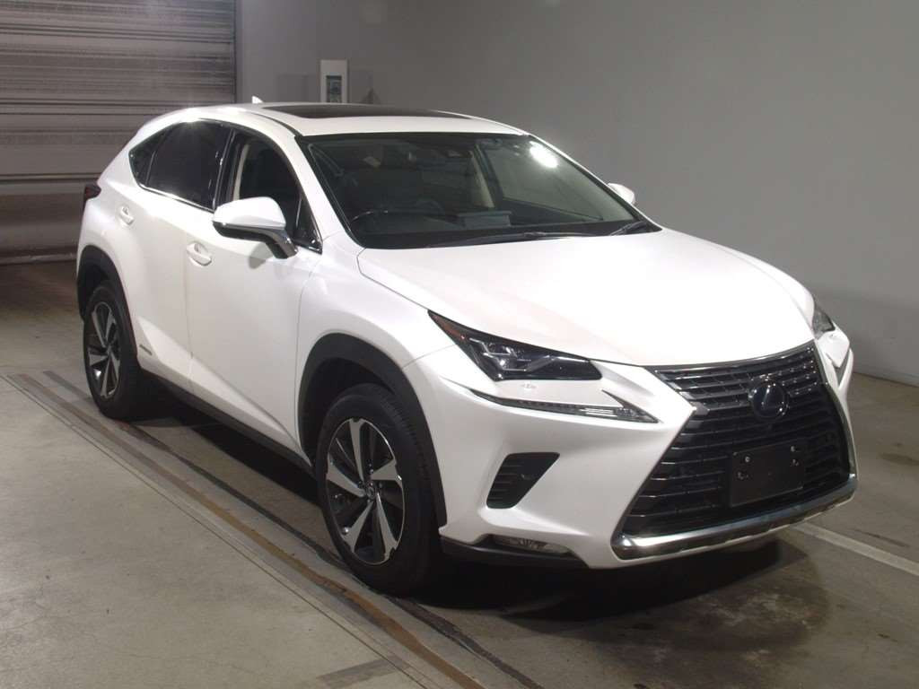 2019 Lexus NX AYZ10[2]