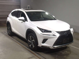 2019 Lexus NX